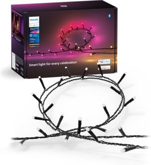 Philips Hue Festavia lichtsnoer - meter - LED's